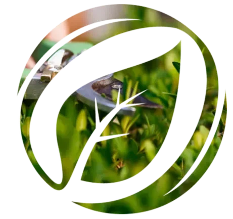 Green leaf logo symbol representing commercial landscaping and garden design services.