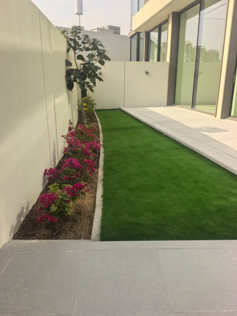 Dubai villa garden with artificial grass lawn, flower bed with plants, and clean modern landscaping design