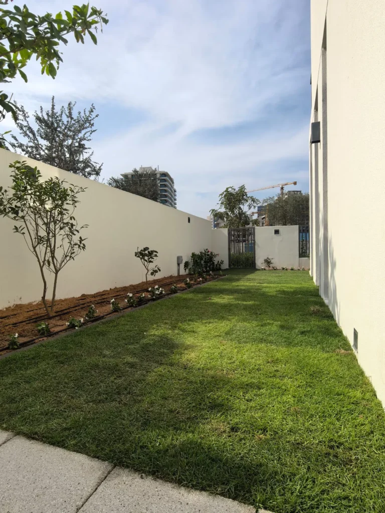 Residential landscaping with green lawn, boundary wall planting, and garden bed installation