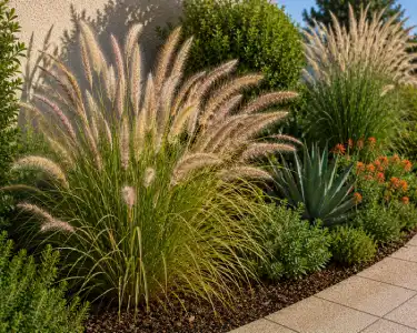 Ornamental grass with soft feathery plumes in a modern garden bed for professional landscaping services