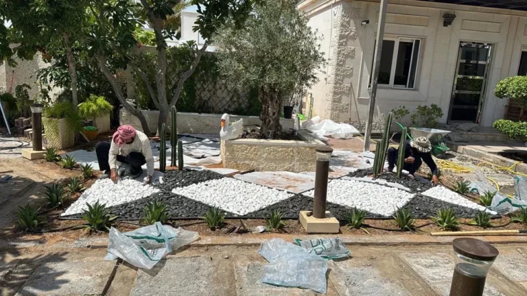 Landscaping team installing a black and white geometric pebble garden in a Dubai villa yard with cactus plants, agave borders, olive tree, and modern outdoor pathway.
