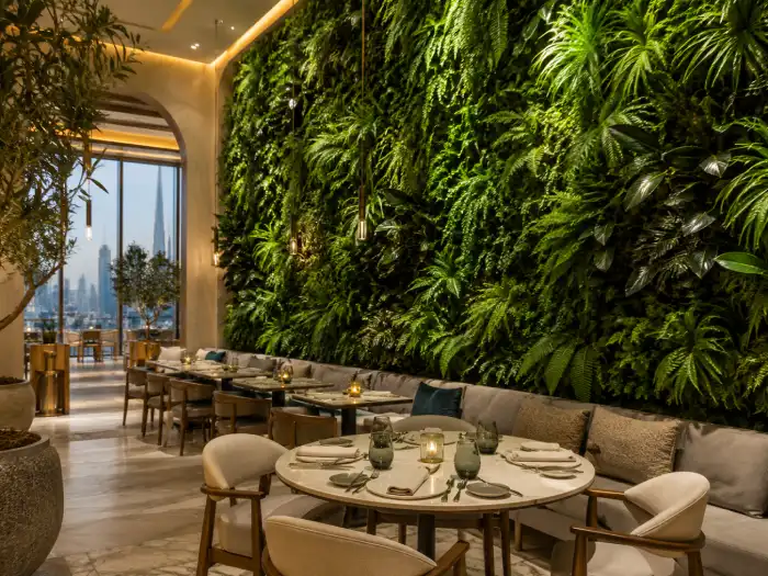restaurant green wall dubai indoor plant wall