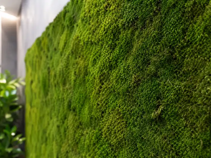 Close-up of a preserved flat moss wall with dense green texture used for indoor moss wall installations and biophilic interiors.