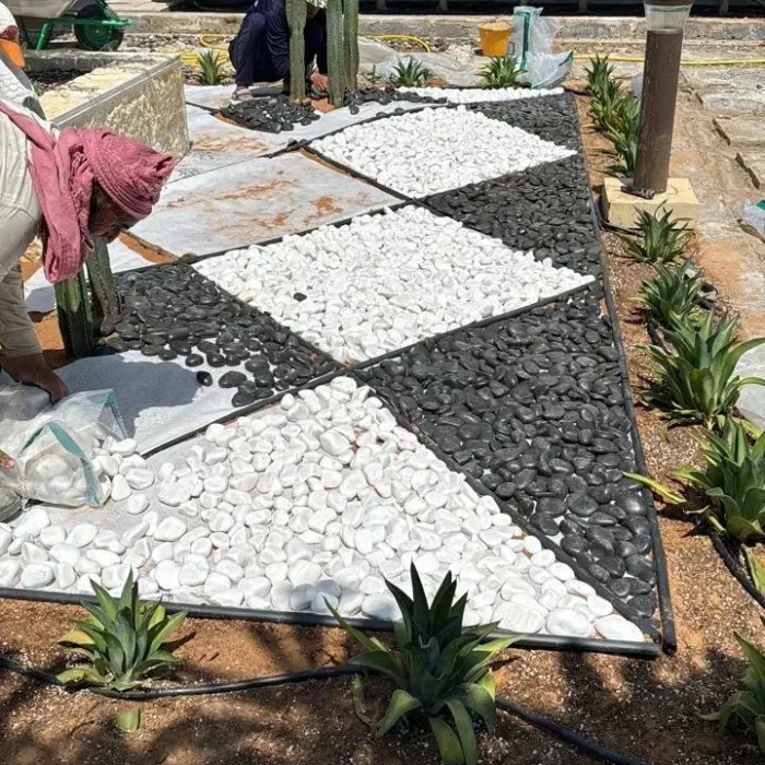 Geometric black and white pebble garden design under installation in a Dubai villa yard, featuring cactus plants, agave borders, trimmed hedges, and modern outdoor landscaping.