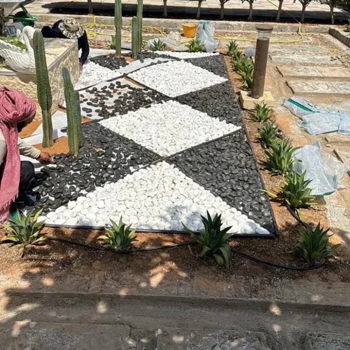 Geometric black and white pebble garden pattern under installation in a Dubai villa yard, with cacti, agave plants, stone edging, and manicured hedge borders.