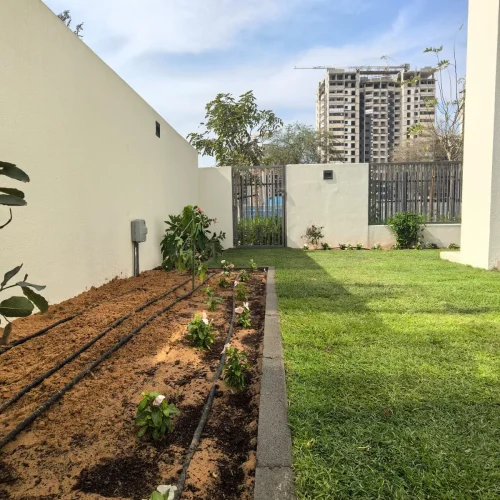 Garden landscaping project with drip irrigation system, lawn installation, and plant beds